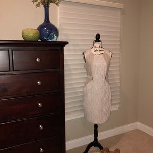 Calvin Klein classy tan and off white dress